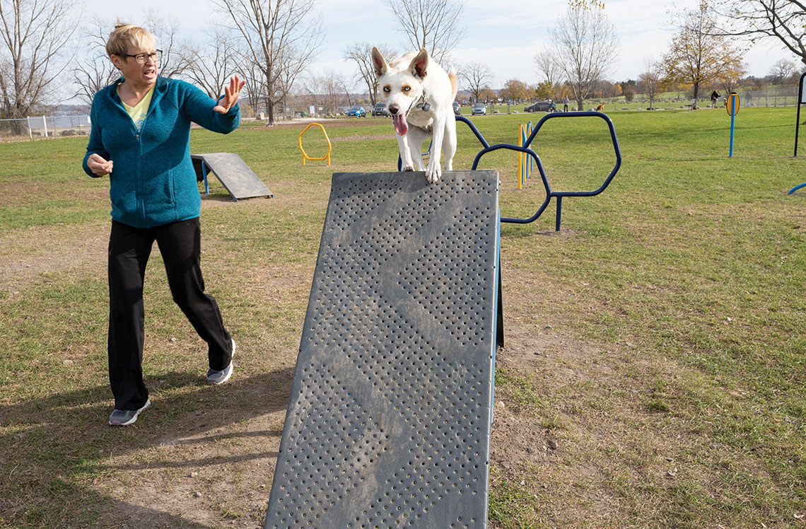 Dog Playground Equipment, Puppy